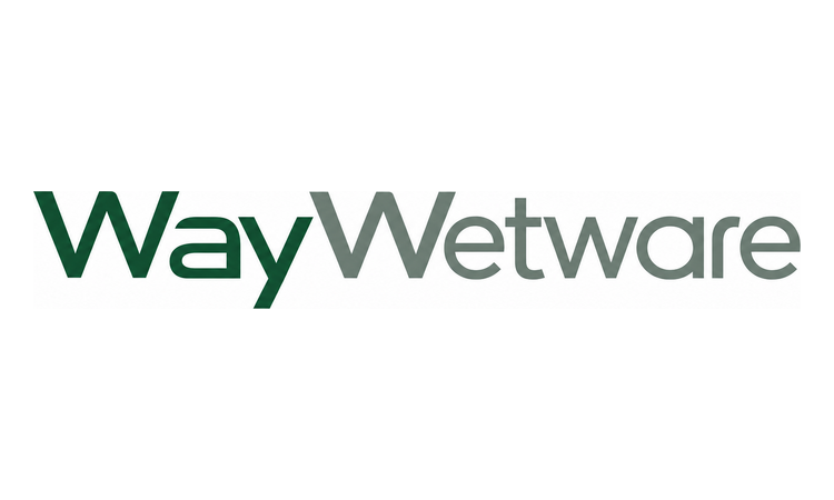 Available Business Name For Sale - Waywetware